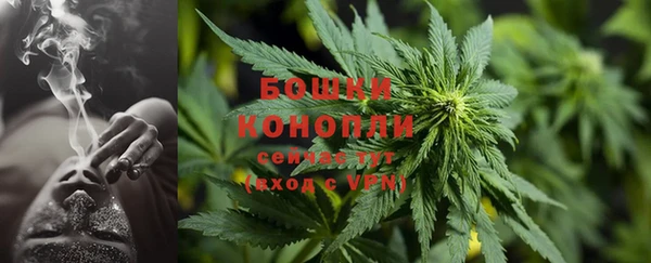 винт Костерёво