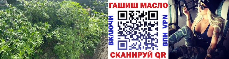 Купить закладки  Катайск  Дистиллят ТГК Wax 
