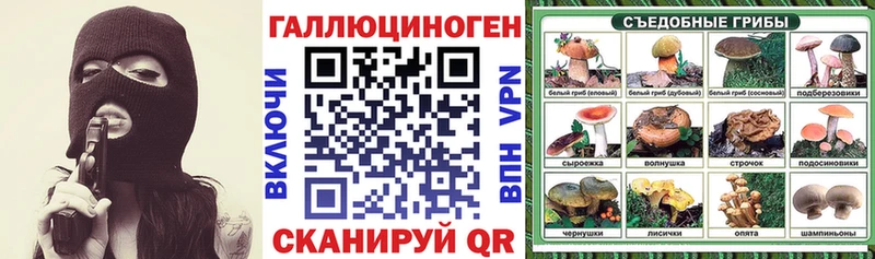 Псилоцибиновые грибы Psilocybine cubensis  Купить где  Катайск 