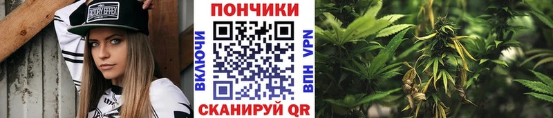 Купить где  Катайск  Шишки марихуана семена 